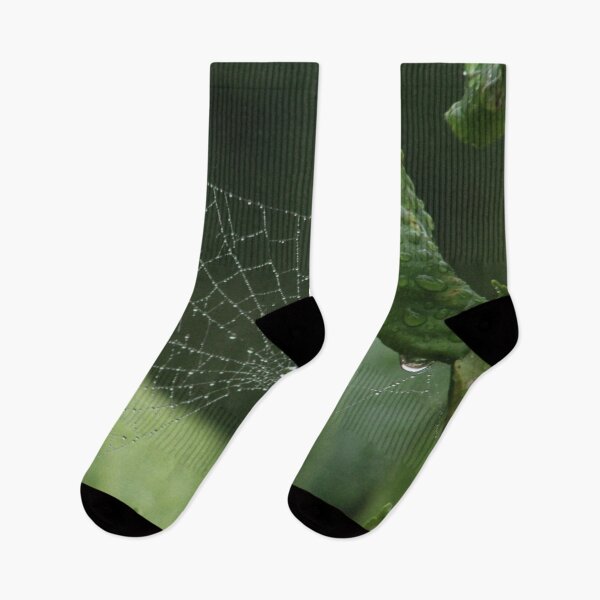 Item preview, Spider web in the rain designed and sold by Anna Lemos.