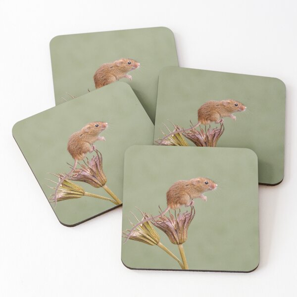 Item preview, Harvest mouse on Nigella Orientalis designed and sold by Dean Mason.