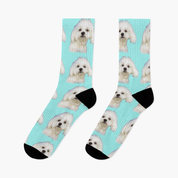 Item preview, Maltese puppy on blue designed and sold by Zina Stromberg.