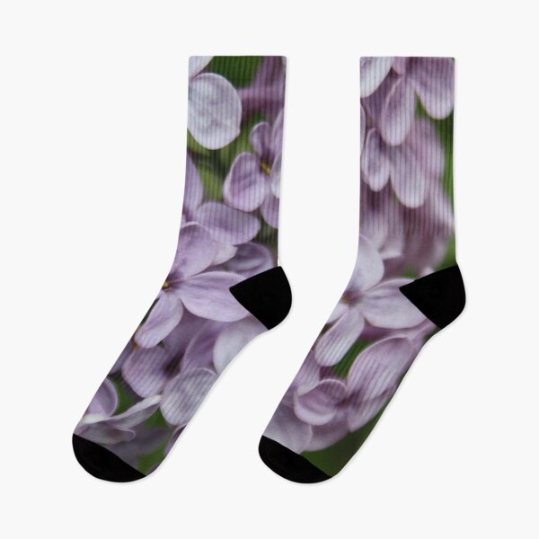 Item preview, Close Up Of Persian Lilac Blossom designed and sold by taiche.