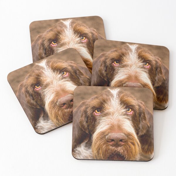 Item preview, Love is where we are Spinone by heidiannemorris designed and sold by FOLK ART FUSION by heidiannemorris.