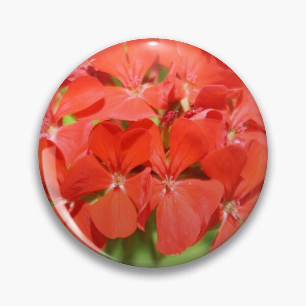 Item preview, Red Geranium Pelargonium hortorum designed and sold by taiche.