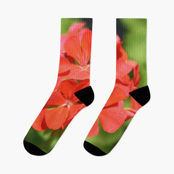 Item preview, Red Geranium Pelargonium hortorum designed and sold by taiche.