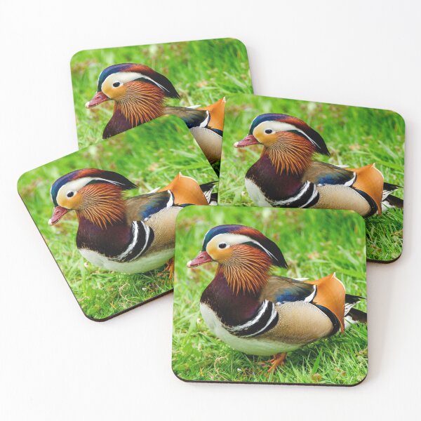 Item preview, Multi Colored Mandarin Duck designed and sold by Elzbieta Fazel.