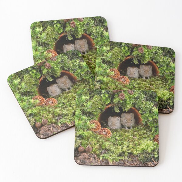 Item preview, Bank voles in garden pot designed and sold by Dean Mason.