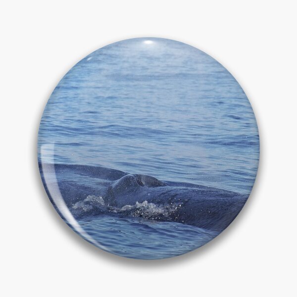 Item preview, Tropical whale: The Bryde´s whale designed and sold by Chloé Yzoard.