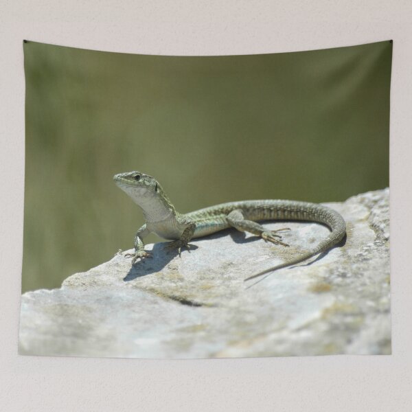 Item preview, Green Lizard on a rock designed and sold by Vassia Sarri.