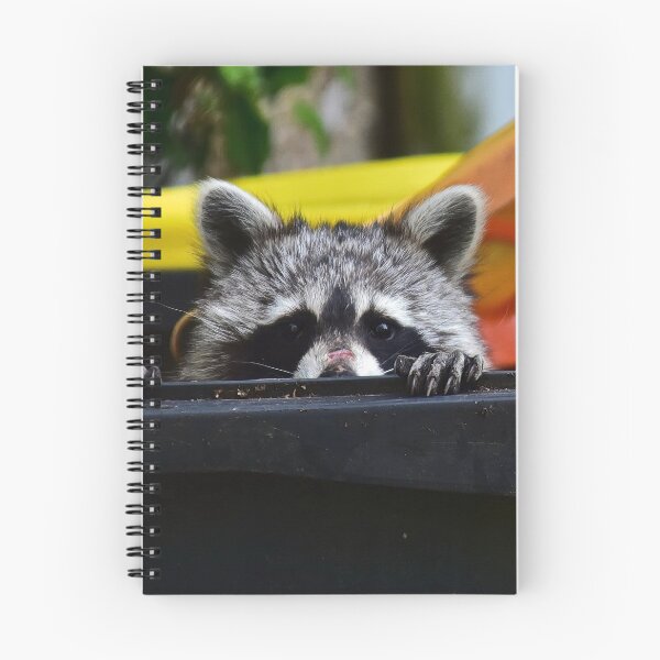 Item preview, Little raccoon in the garbage can designed and sold by Glineur.