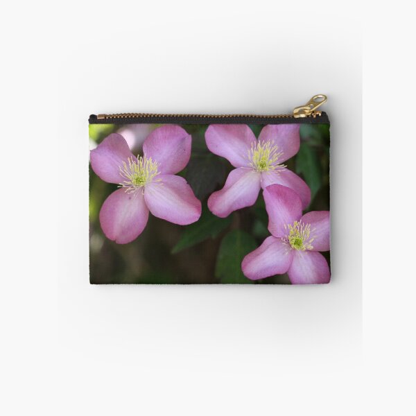 Item preview, Clematis Maidens designed and sold by coffeebean.