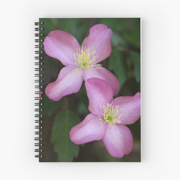 Item preview, Clematis Maidens designed and sold by coffeebean.