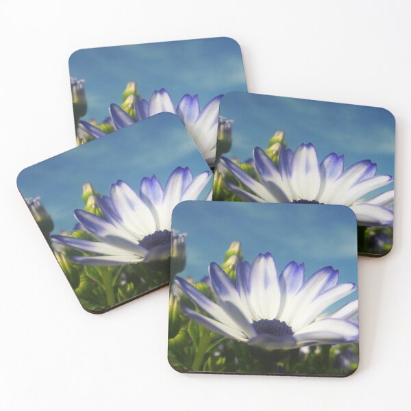 Item preview, Osteospermum designed and sold by angel1.