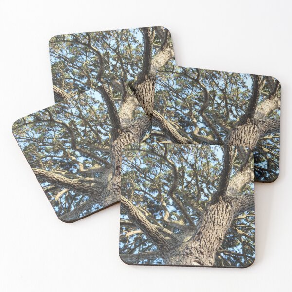 Item preview, Looking up designed and sold by TMarsPhotos.