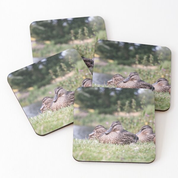 Item preview, Duck Photography  designed and sold by NatashaBalletta.