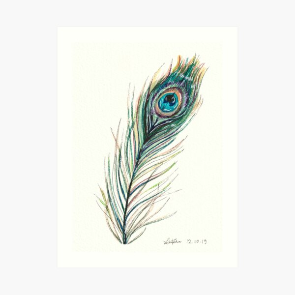 Illustration Peacock feather