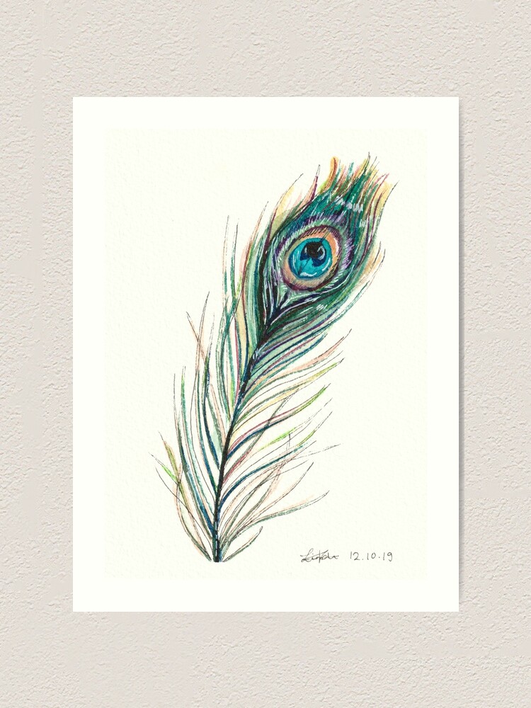 Peacock Feather Print: Digital print of an original drawing available 5x7  or 8x10