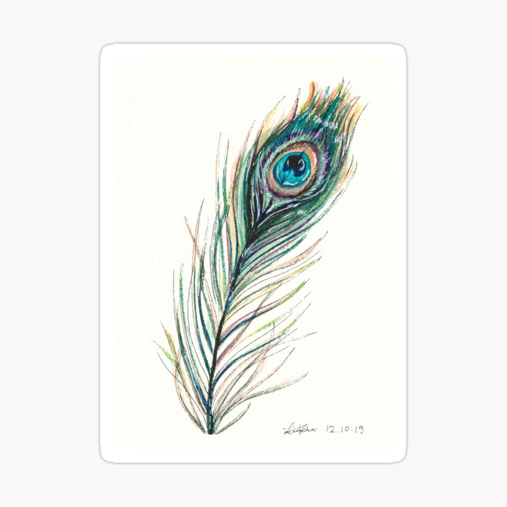 Details more than 209 peacock feather pencil sketch