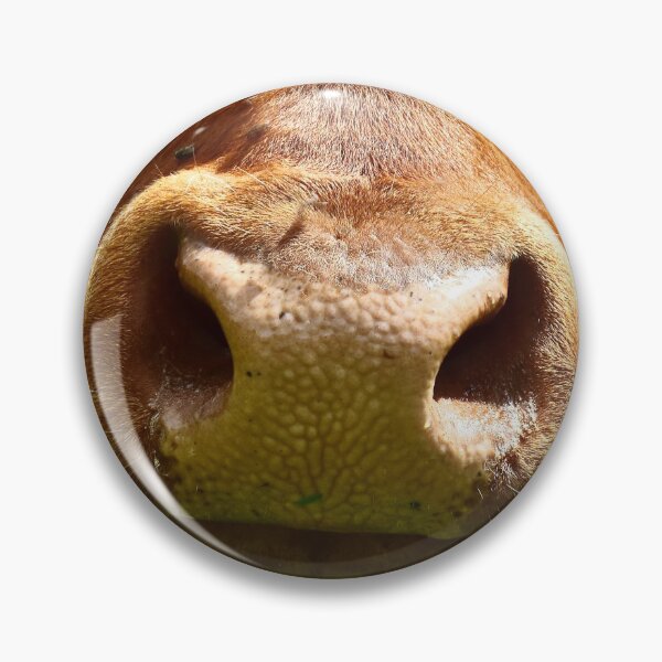 Item preview, Cow nose designed and sold by Glineur.