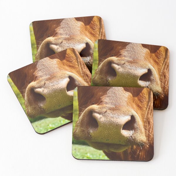 Item preview, Cow nose designed and sold by Glineur.