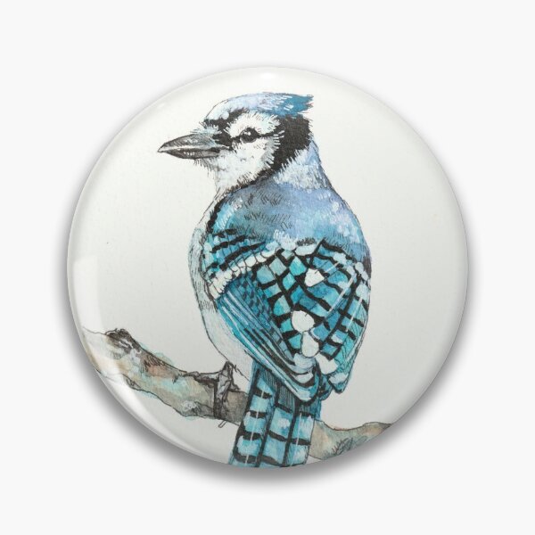 Blue Jay Pins And Buttons Redbubble