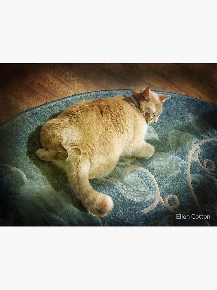 Fat Cat on a Rug by ellcot