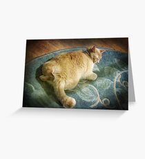 Fat Cat on a Rug Greeting Card