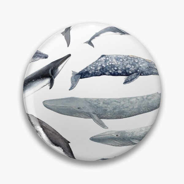 Item preview, Whales all around designed and sold by chloeyzoard.