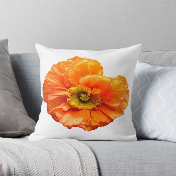 Mohnblume poppy orange Dekokissen