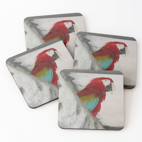 Item preview, Red Parrot designed and sold by XCEEDTRANSITION.