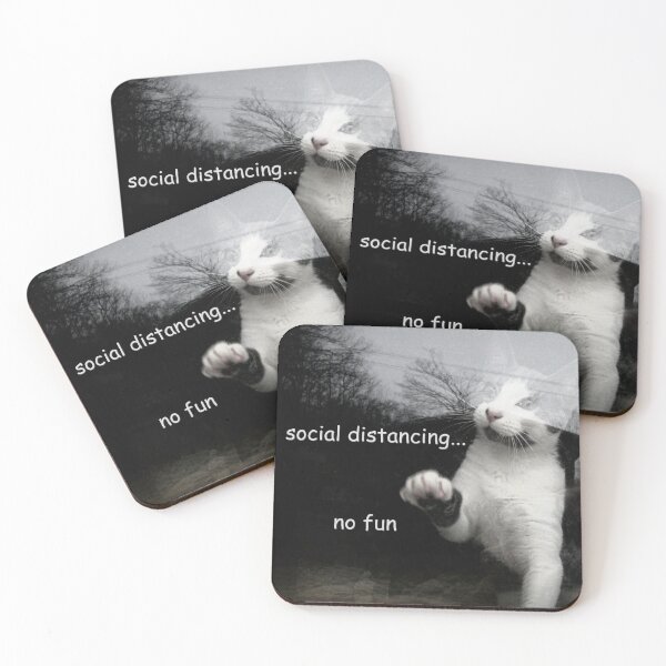 Item preview, Social Distancing Kitten designed and sold by Frankie Cat Photography.