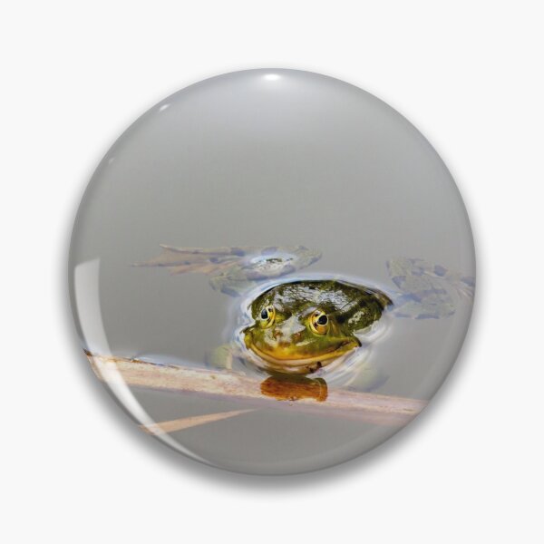 Item preview, Edible Frog Hanging Onto Reed in a Pond designed and sold by MarkUK97.