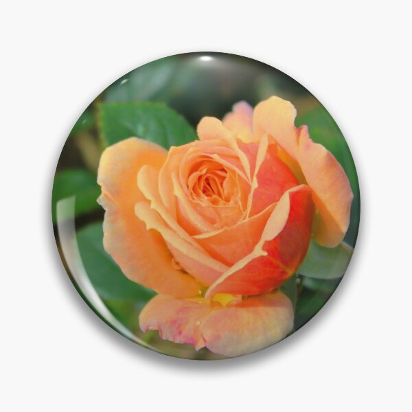 Item preview, Rose the designed and sold by AHELENE.