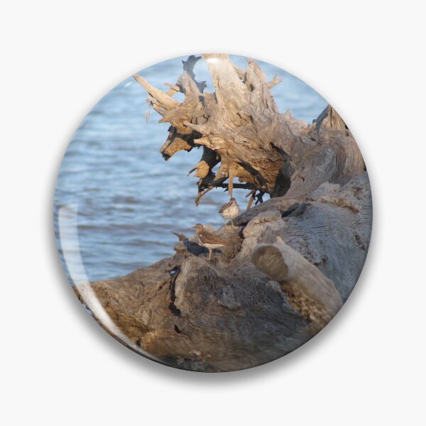 Item preview, Driftwood and birds designed and sold by Southern Doll Designs.