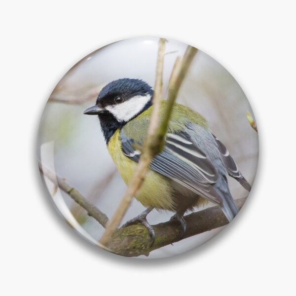 Item preview, The Great Tit designed and sold by Dominika Aniola.