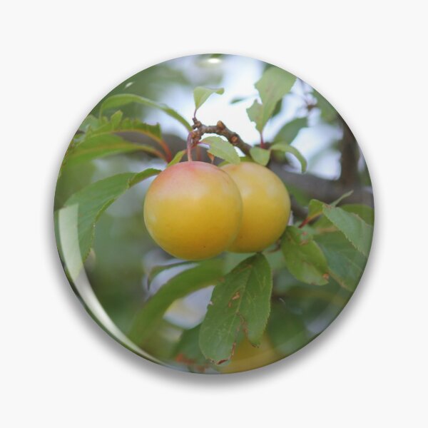 Item preview, yellow plum designed and sold by AHELENE.