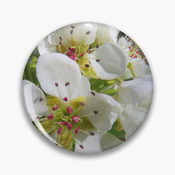 Item preview, Peach blossom designed and sold by AHELENE.