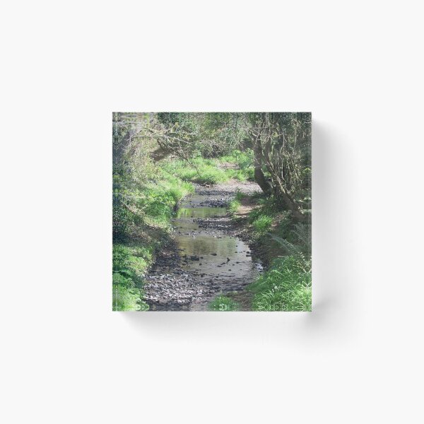 Item preview, Woodland Stream designed and sold by WildandDivine.