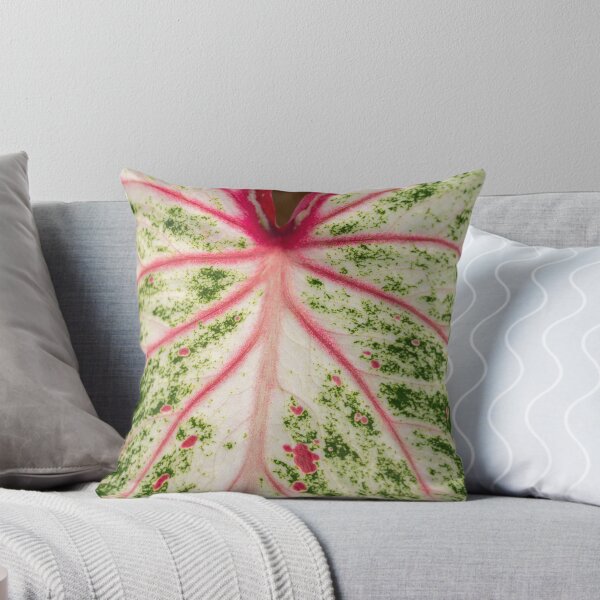 Item preview, Caladium Bicolor Close Up designed and sold by Chee Sim.