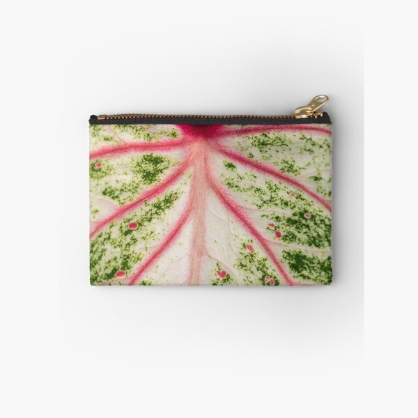 Item preview, Caladium Bicolor Close Up designed and sold by Chee Sim.