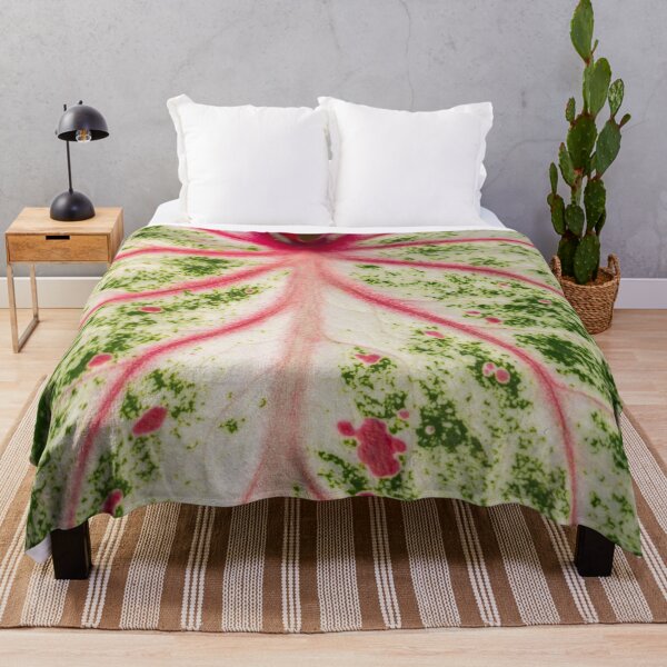 Item preview, Caladium Bicolor Close Up designed and sold by Chee Sim.