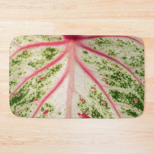 Item preview, Caladium Bicolor Close Up designed and sold by Chee Sim.