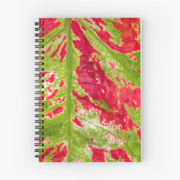 Item preview, Florida Beauty Caladium Leaf Pattern Closeup designed and sold by Chee Sim.