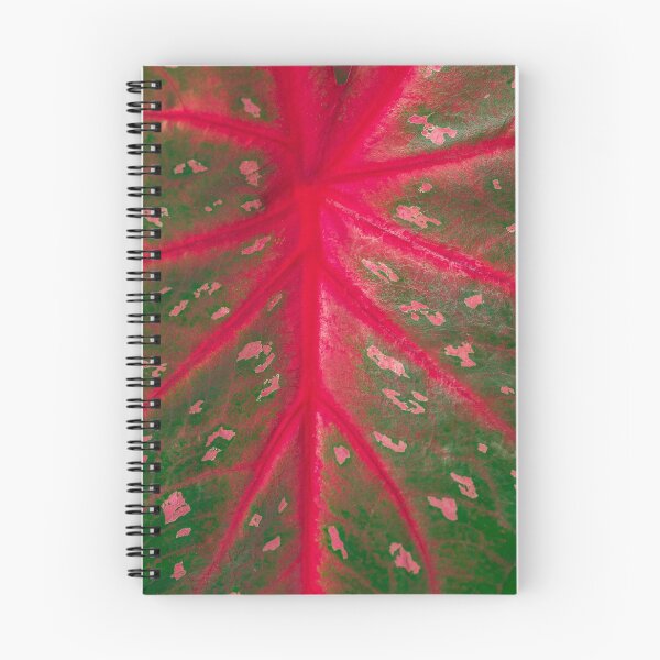 Item preview, Caladium Red Flash Houseplant Leaf Pattern Closeup designed and sold by Chee Sim.