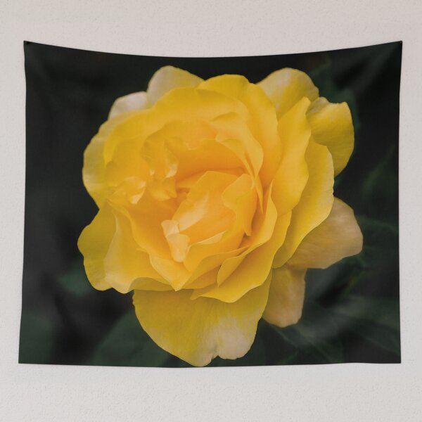 Item preview, Happy Go Lucky yellow rose for flower enthusiast designed and sold by Chee Sim.