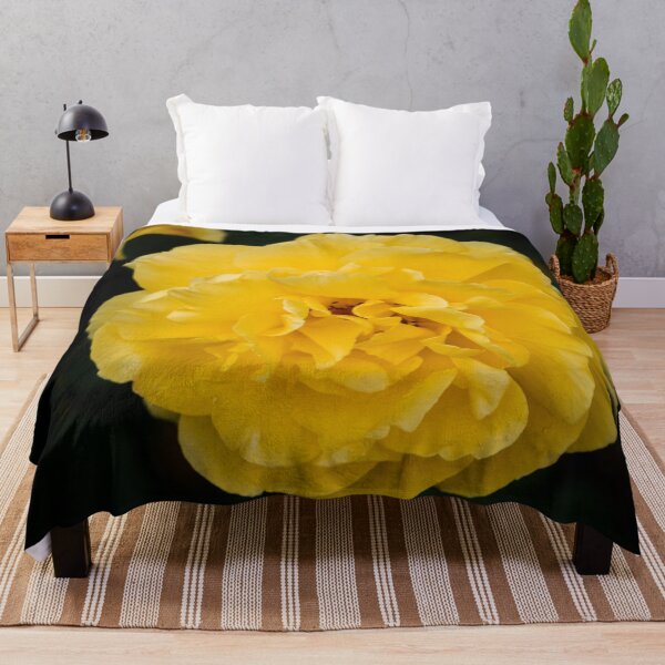 Item preview, Blooming Mellow Yellow Floribunda rose in the garden designed and sold by Chee Sim.