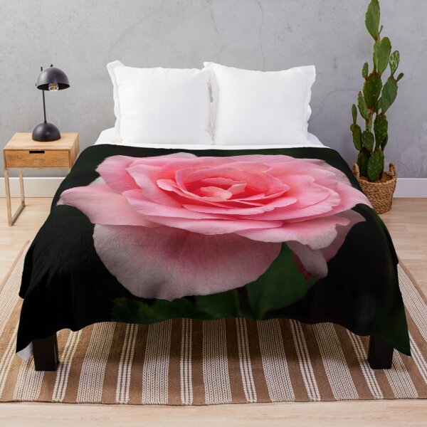 Item preview, Hybrid PinkTiffany rose is blooming in the garden designed and sold by Chee Sim.