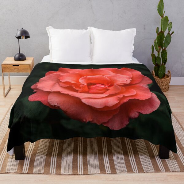 Item preview, Touch of Class hybrid orange rose is blooming designed and sold by Chee Sim.