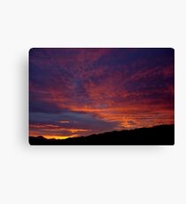 indigo blue and orangered Canvas Print