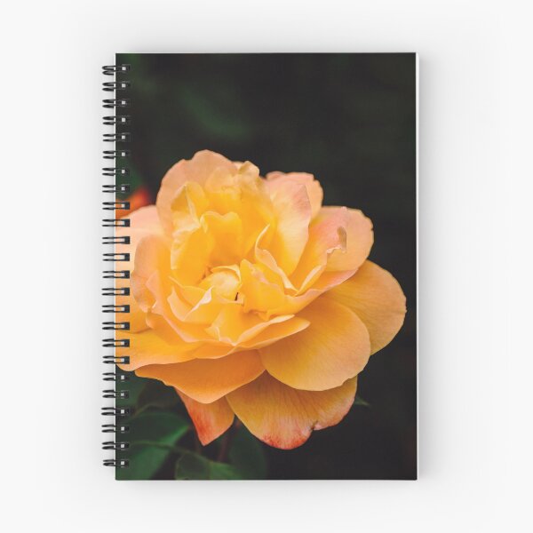 Item preview, Blooming Strike It Rich Yellow Rose in Summer designed and sold by Chee Sim.