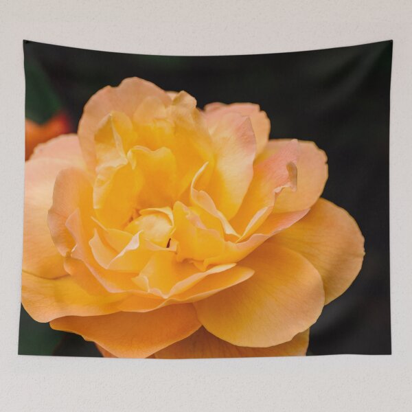 Item preview, Blooming Strike It Rich Yellow Rose in Summer designed and sold by Chee Sim.