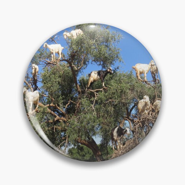 Item preview, goats in trees designed and sold by AHELENE.